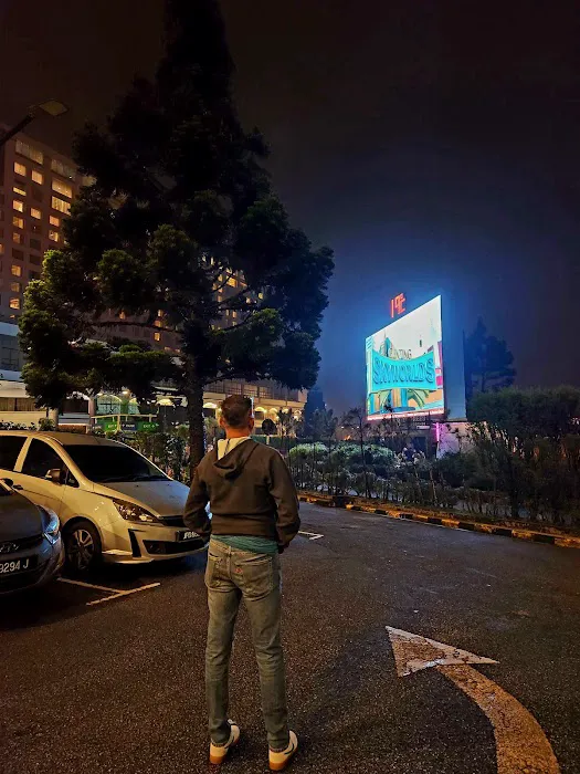 Resort world parking Picture 4