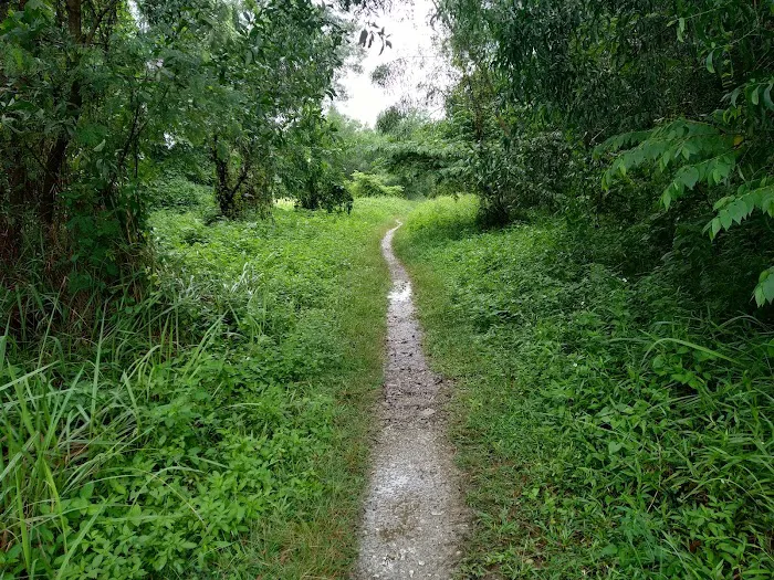 Desa Petaling, Kuala Lumpur 青龍山 Picture 3