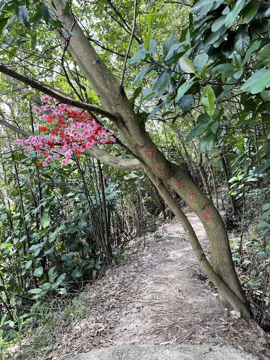 Desa Petaling, Kuala Lumpur 青龍山 Picture 4