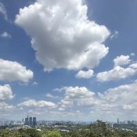 Peak of Retaining Wall ico