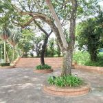 Universiti Malaya Landmark