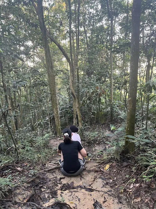 Air Terjun @Bukit Besi Picture 5
