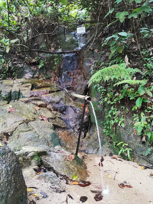 Air Terjun @Bukit Besi Picture 10