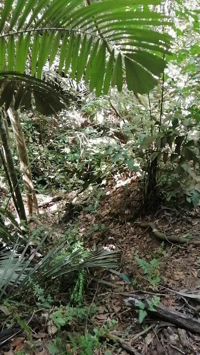 Bukit Besi Stream Picture 1