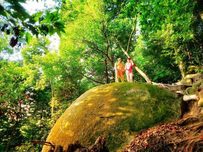 Bukit Kiara Downhill Mountain Bike Trail Picture 4