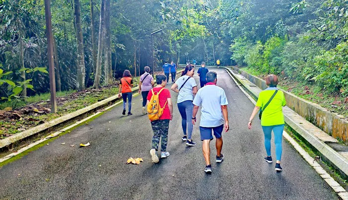 Bukit Kiara Downhill Mountain Bike Trail Picture 6