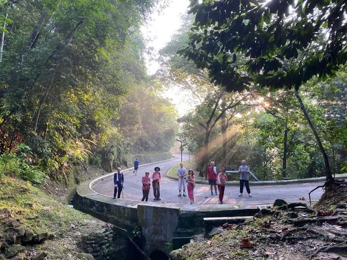 Bukit Kiara Downhill Mountain Bike Trail Picture 7