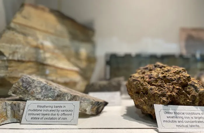 Geology Museum, University of Malaya Picture 6