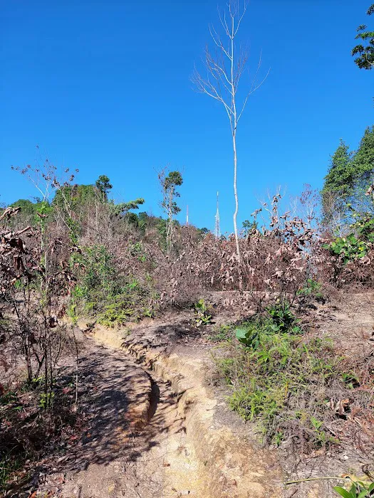 Bukit Besi Peak Picture 5
