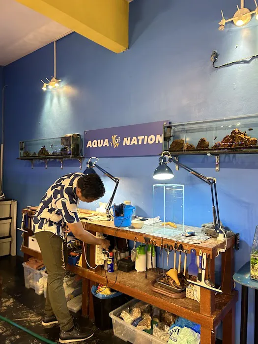 Aqua Nation My Picture 6