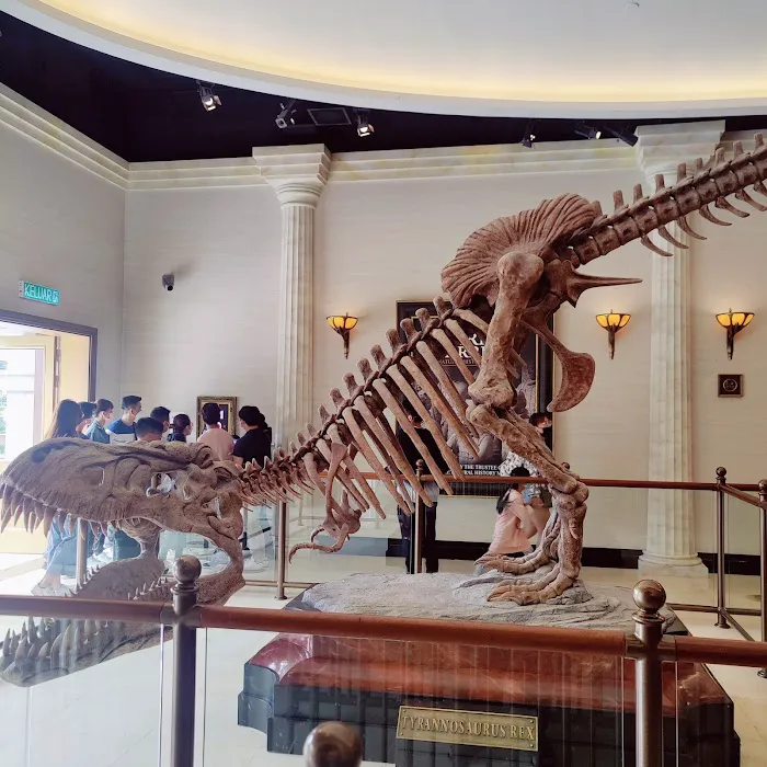 Night at the Museum: Midnight Mayhem Picture 2