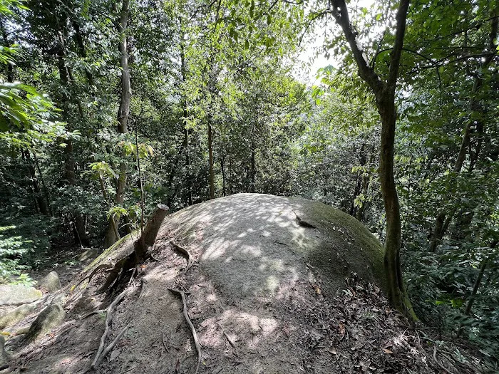 Uzzinho’s Yellow Rock Picture 2