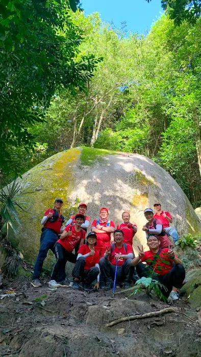Uzzinho’s Yellow Rock Picture 6