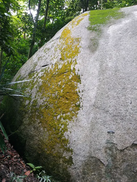 Uzzinho’s Yellow Rock Picture 4