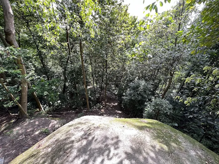 Uzzinho’s Yellow Rock Picture 10