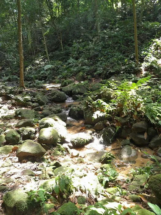 Denai Keladi Picture 1