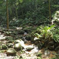 Denai Keladi ico