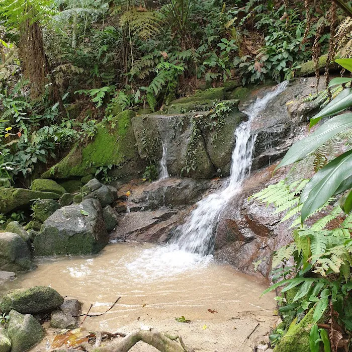 Keladi Trail Picture 2