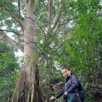 Bukit Mayong Trig Station ico
