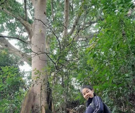 Bukit Mayong Trig Station