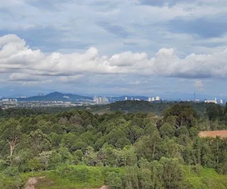 Bukit Alam Budiman Peak