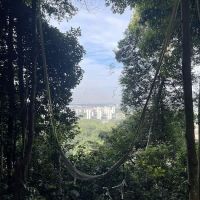 The Swing ico