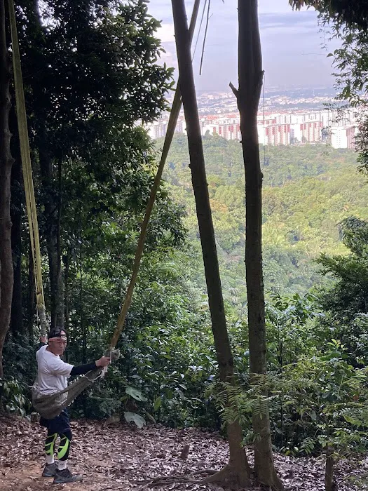 The Swing Picture 2