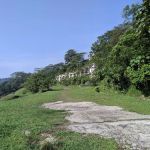 ZK View Point