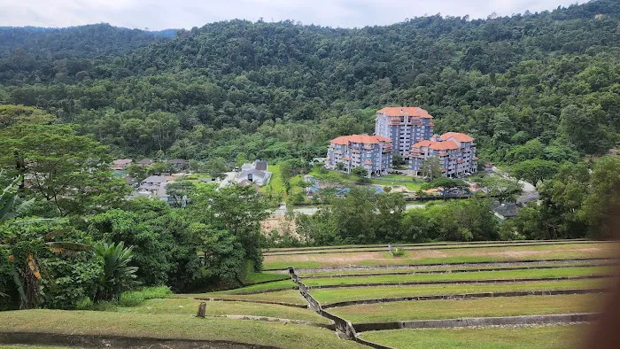 ZK View Point Picture 5
