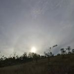 Bukit rumput