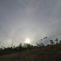 Bukit rumput ico