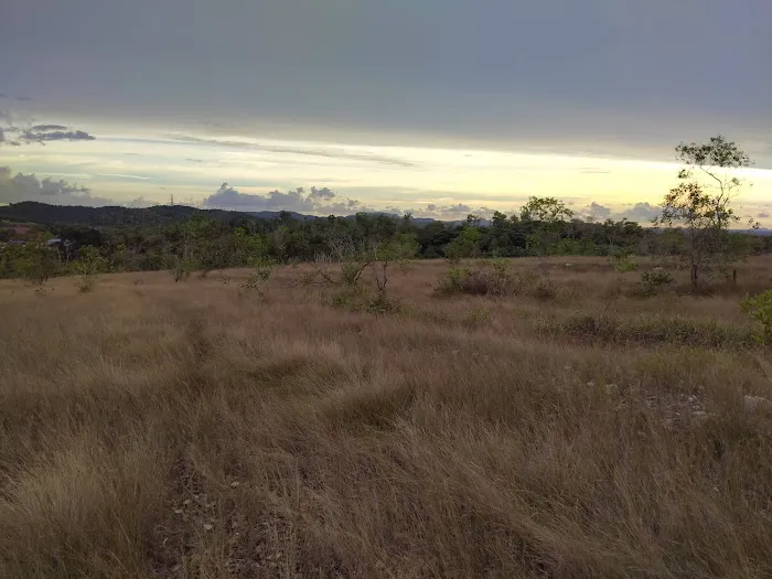 Bukit rumput Picture 4