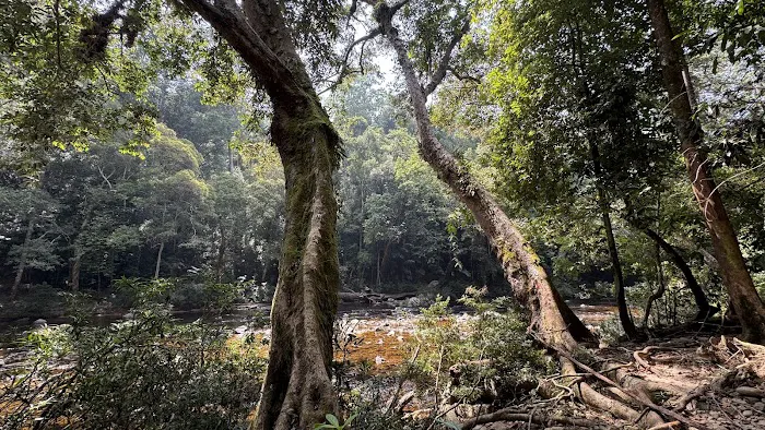 Lata Berkoh Picture 7