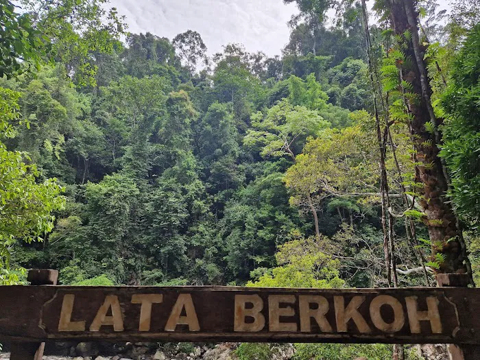Lata Berkoh Picture 5
