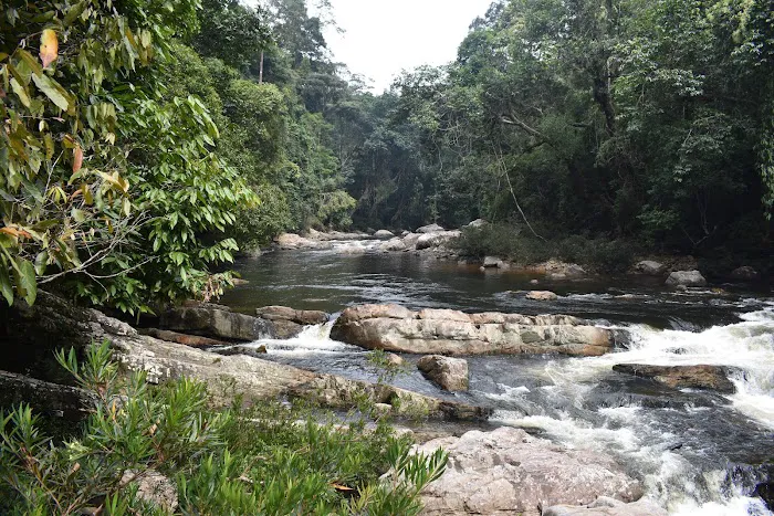 Lata Berkoh Picture 1