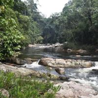 Lata Berkoh ico