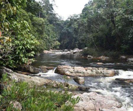 Lata Berkoh