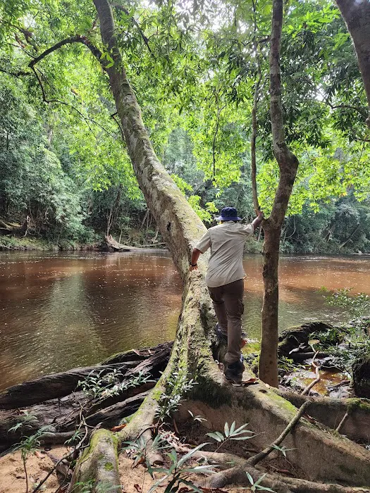 Lata Berkoh Picture 6