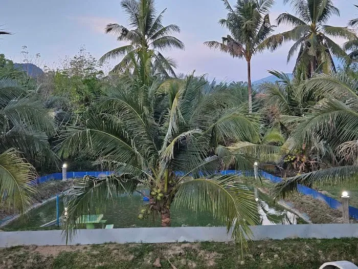 Atok Campsite Picture 2