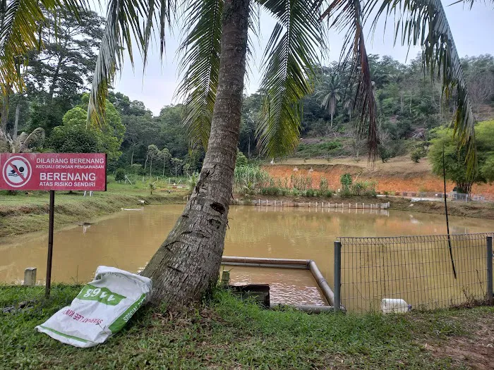 Geotapak Formasi Boulder Beds Kota Puteri Batu Arang Picture 1
