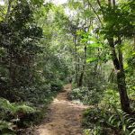 Bukit Serdang Hiking Trail | Parking