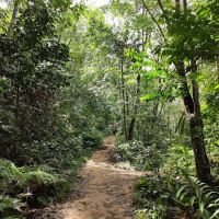 Bukit Serdang Hiking Trail | Parking ico