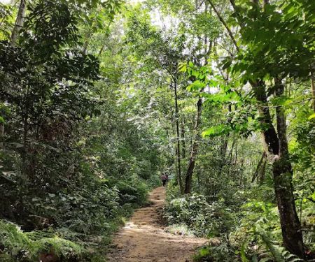 Bukit Serdang Hiking Trail | Parking