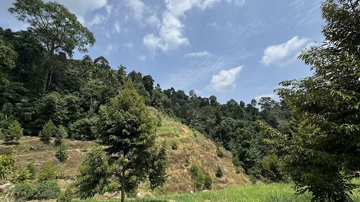 Bukit Raya Basecamp Picture 9
