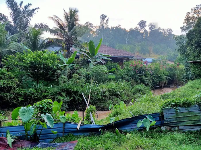 3910 Kampung Sungai Michu Picture 2
