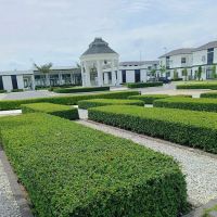 Regent Garden Roundabout ico