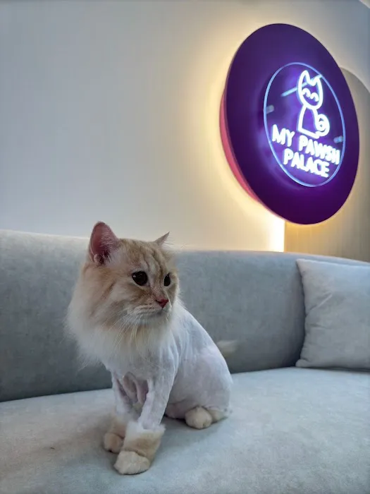 My Pawsh Palace Picture 6