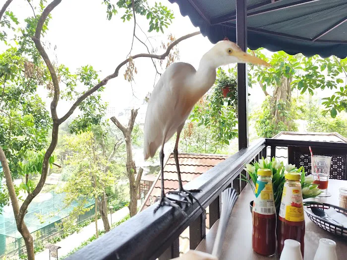 Hornbill Restaurant & Cafe Picture 9