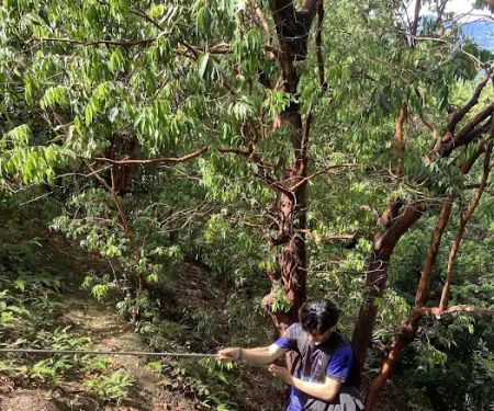 Bukit Asa Trailhead