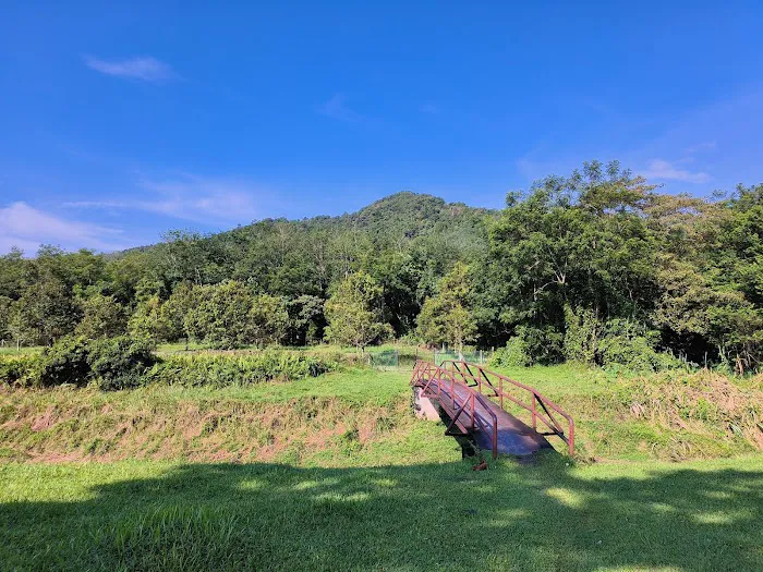 Bukit Asa Trailhead Picture 3